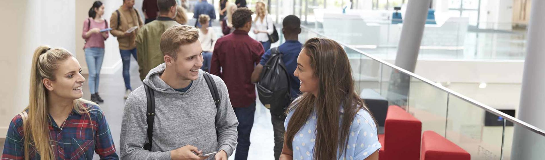 Skoler & Institutioner