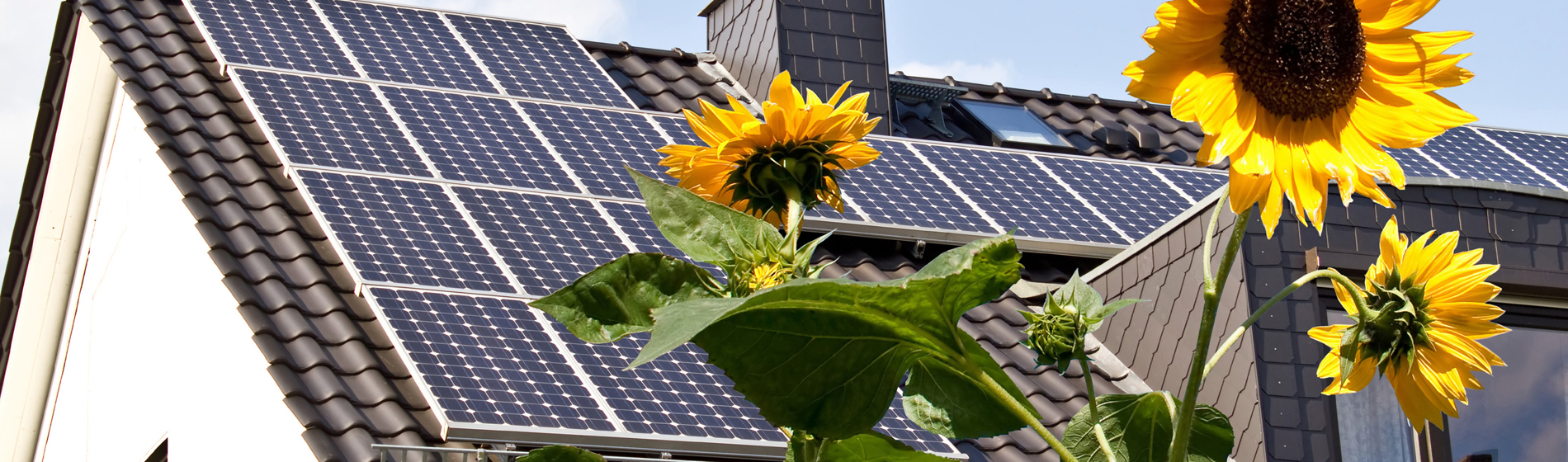 Ansvarligt forbrug og produktion